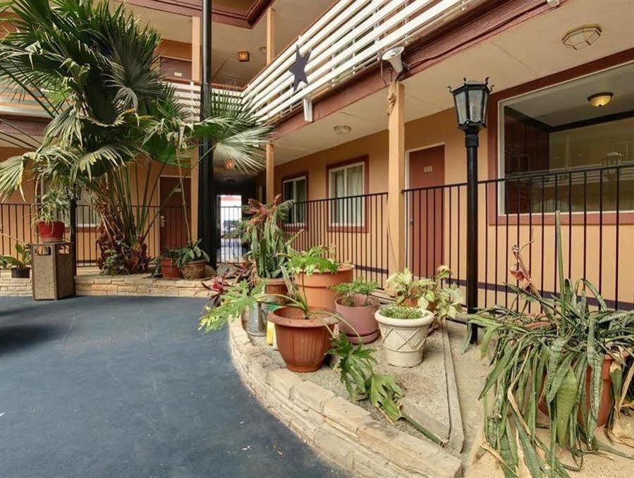 Budget Host Inn 阿林顿 外观 照片